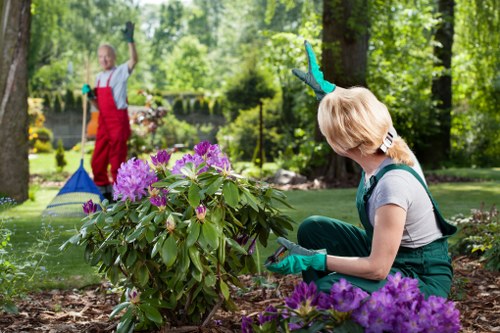 Seasonal planting and greenery for a Blackfriars terrace or courtyard