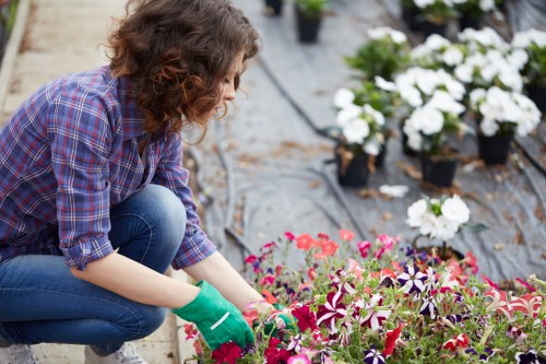 Professional garden landscaping design ideas for Blackfriars residential and commercial outdoor spaces