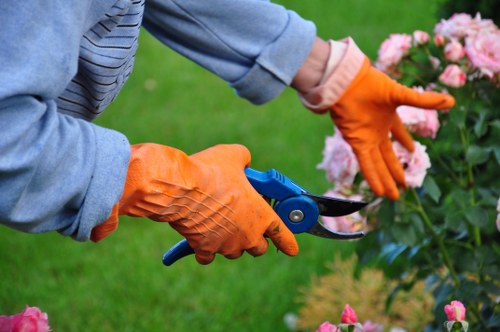 Local soft landscaping team planning a Blackfriars garden project