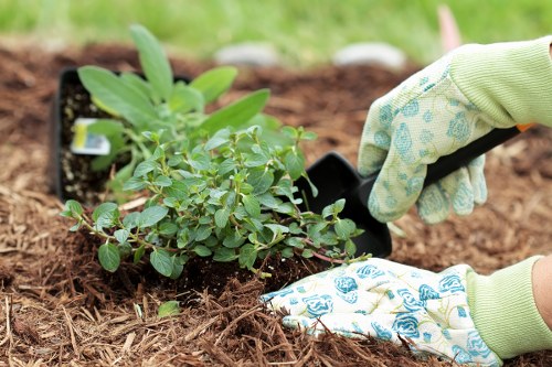 Illustration of a senior reviewer checking a landscaping dispute case