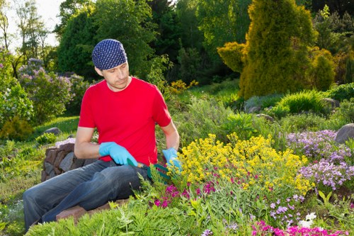 Insurance coverage and professional landscaping safety planning