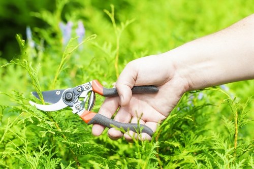Free quote assessment for a Blackfriars property garden