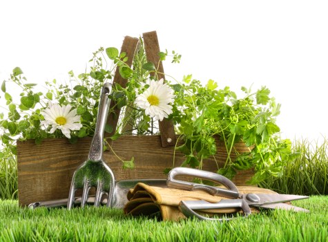 Materials and layout options for a central London garden build project