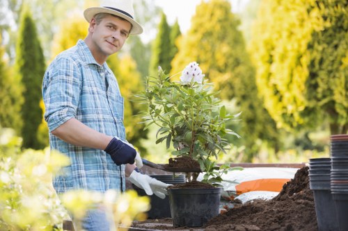 Waste removal and site clearance for a landscaping project